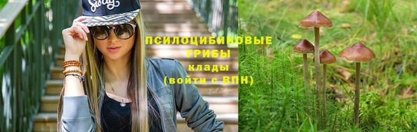 мескалин Верея