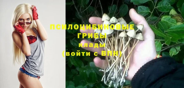 ешки Верхний Тагил