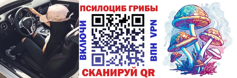 Псилоцибиновые грибы ЛСД  Купить  Томмот 